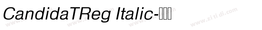 CandidaTReg Italic字体转换
